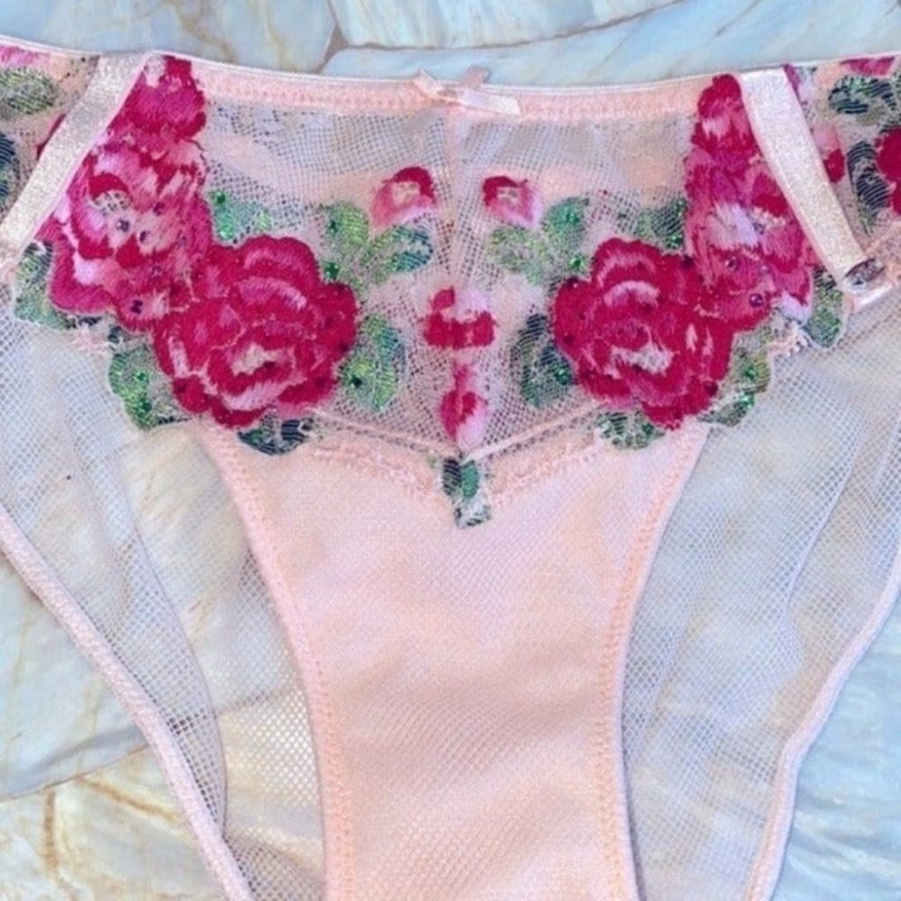 Rare Rose Crystal Bikini Panty Mesh Lace Floral small - Picture 5 of 6
